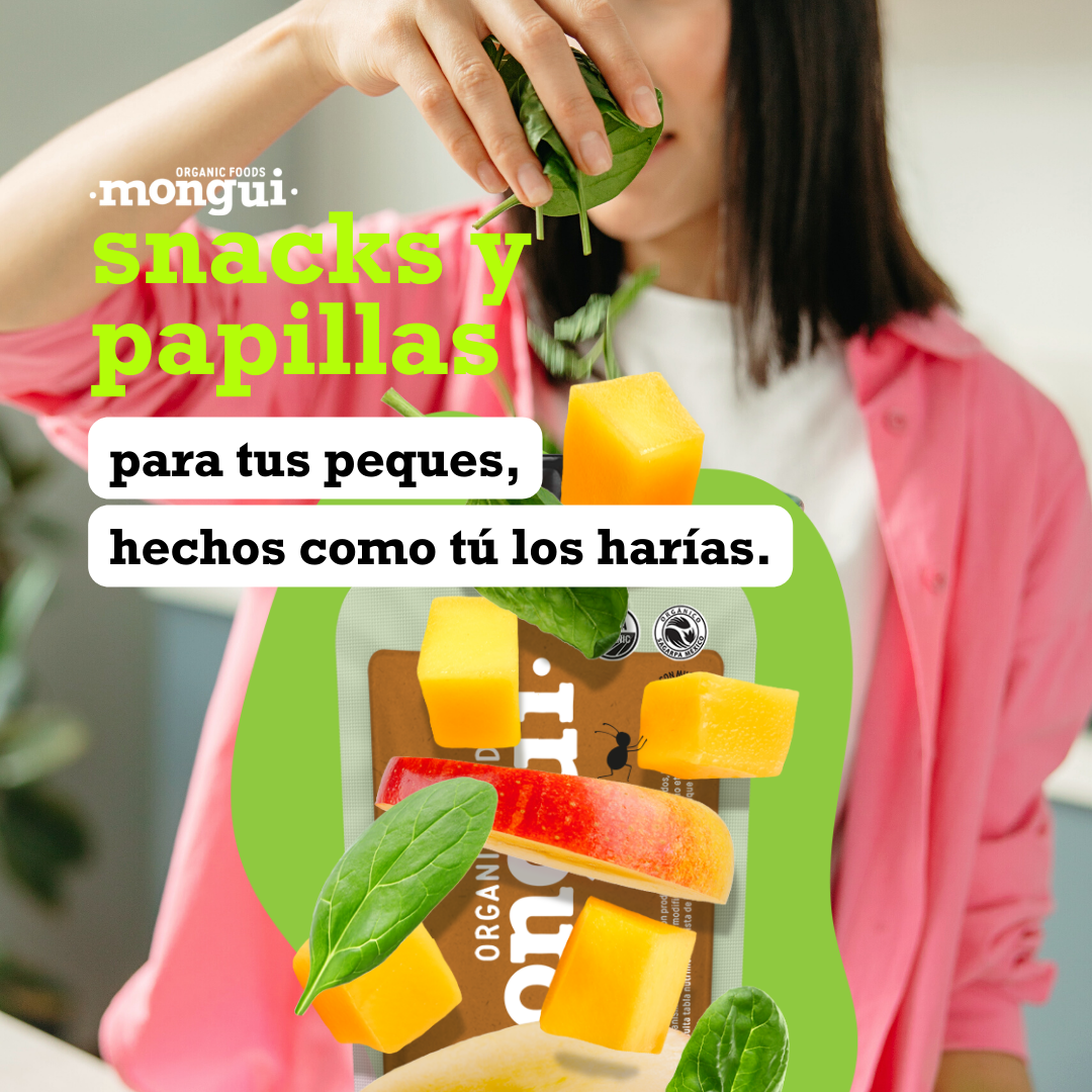 Manzana Power Mix Snack Orgánicos 24 Pack / 3 Recetas