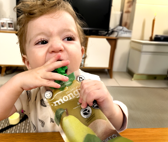 Mongui Mix Orgánico: Expedición de 4 Sabores