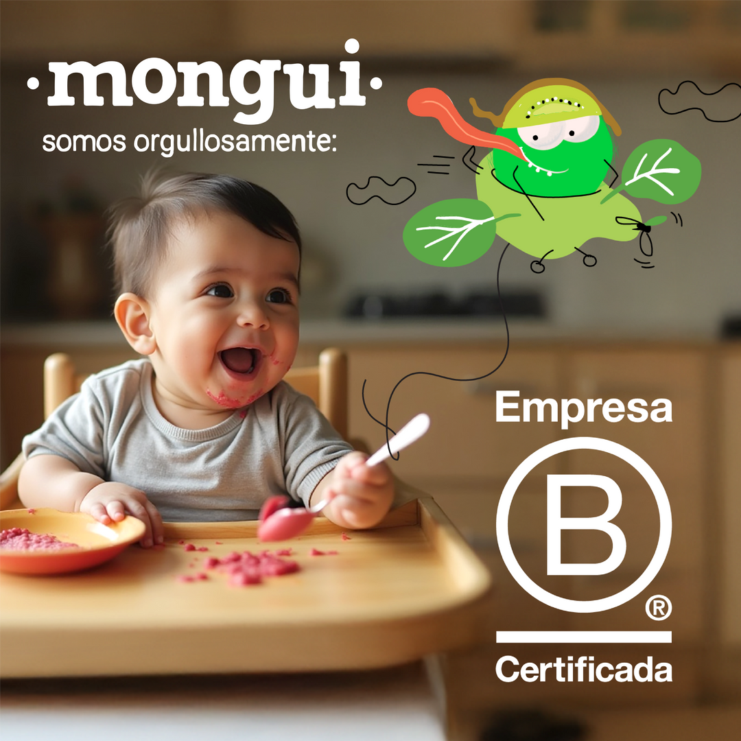 Mongui Mix Orgánico: Expedición de 4 Sabores