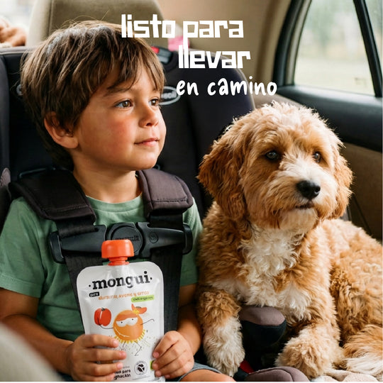 4 pack - durazno, calabaza, arroz y canela – lifestyle2